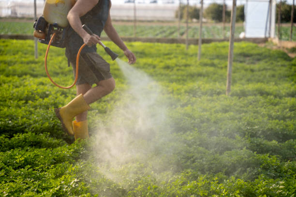 Best Best Pest Control Companies  in Home, WA