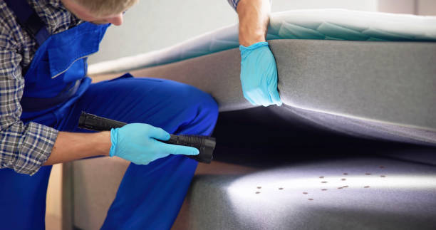 Best Affordable Pest Control Services  in Home, WA