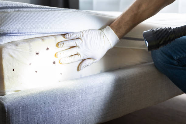 Best Residential Pest Control  in Home, WA